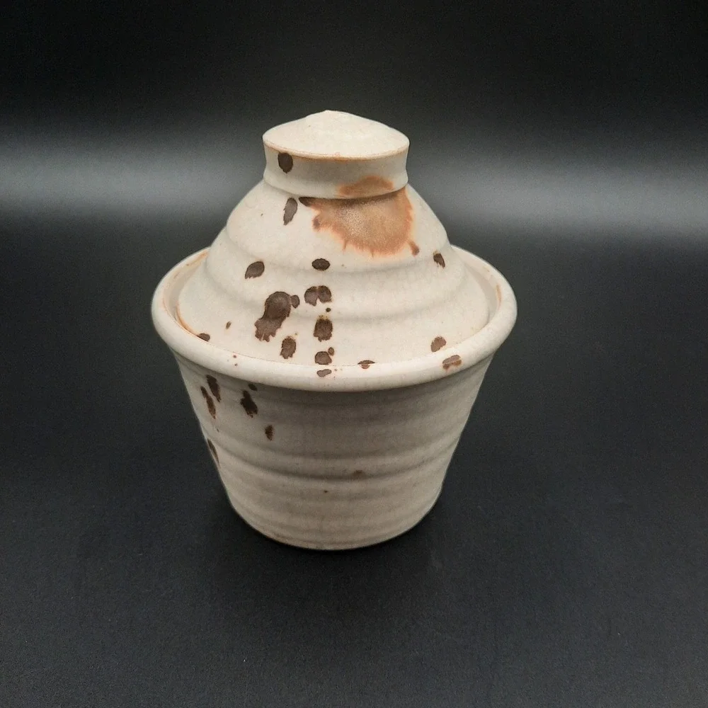 Handmade Ceramic Covered‎ Pot Rustic Earth Tones Kitchen Storage Jar